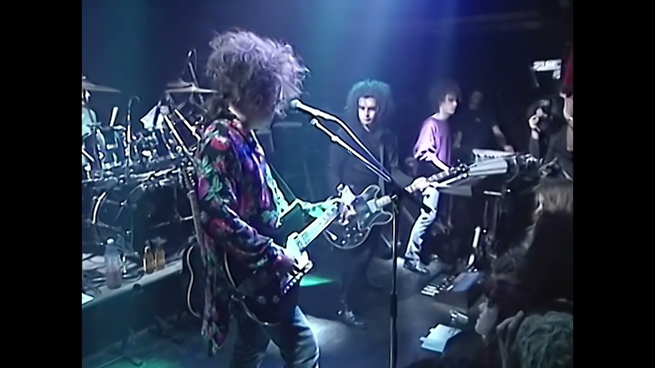 The Cure - Shake Dog Shake (Live At Zenith / Visualiser)