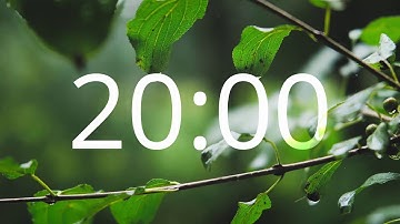 20 Minute Timer - Relaxing Acoustic Guitar Music