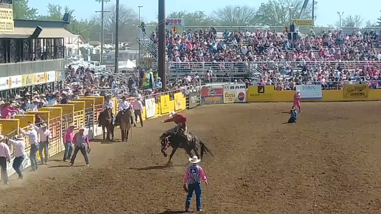 Red Bluff Round Up Rodeo 2021 bronc ride - YouTube