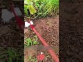 Farming Made Easy! Stainless Steel Hoe 🪴🛠️ for Effortless Weeding & Digging ✨