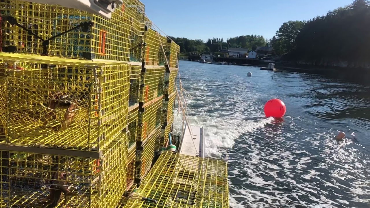 Lobstering In Maine A day in the life of a Maine Lobsterman YouTube