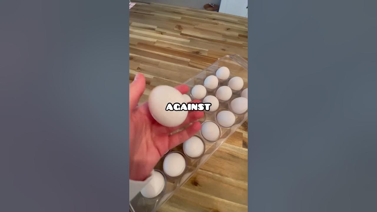 How Much Weight Can An Egg Really Hold? YouTube