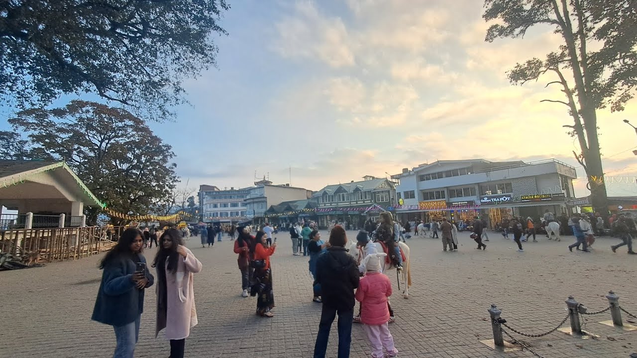 Road montage . Darjeeling