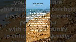 3 Daily Quotes On Attitude Wisdom In Nature