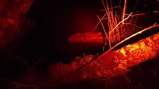 20190611_230134.mp4