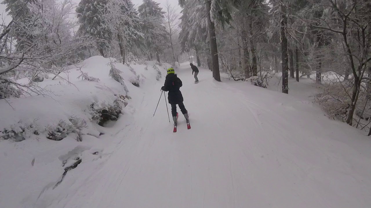 Zieleniec   Monitorowany