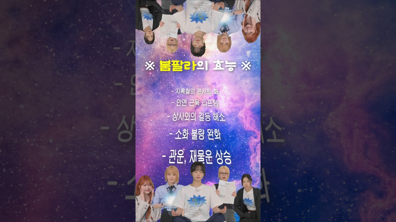 ※ 붐팔라의 효능 ※