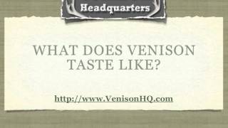 What Does Venison Taste Like - Venison HQ
