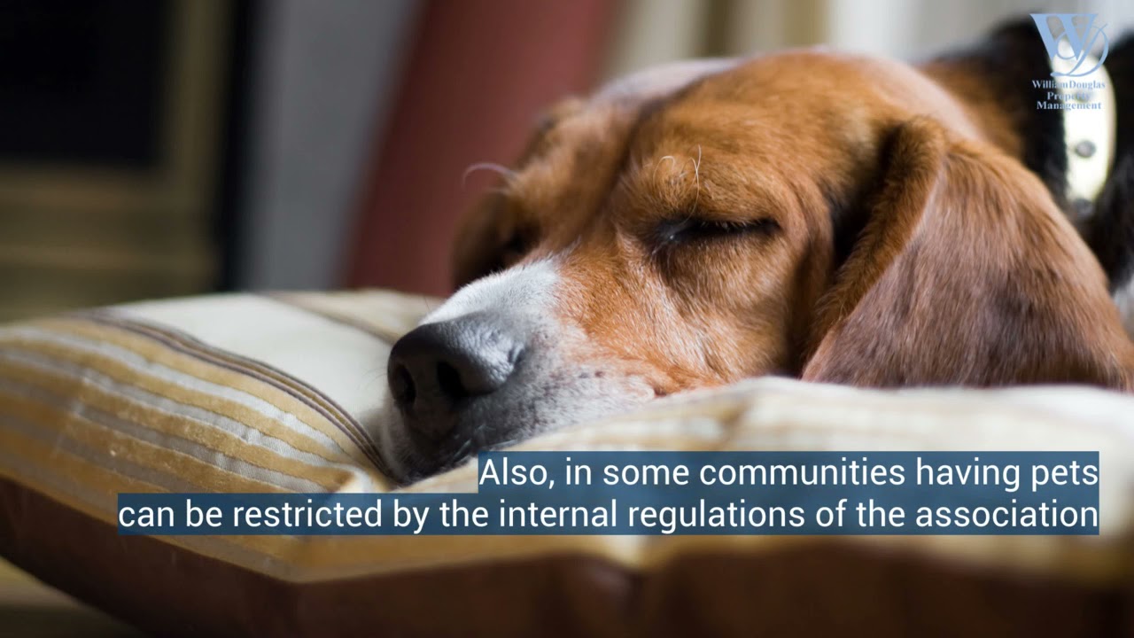 Common Homeowner Concerns in HOAs | HOA Association Management | Charlotte NC