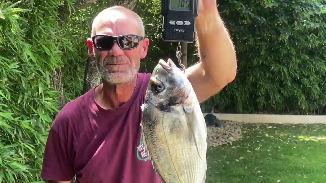 PECHE A LA DAURADE / PECHE AU LOUP … DOUBLE SESSION