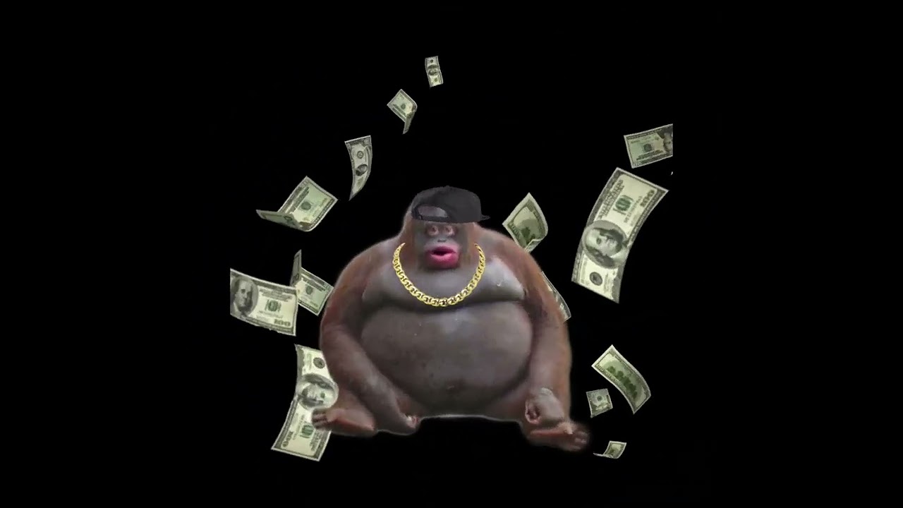 Money monkey