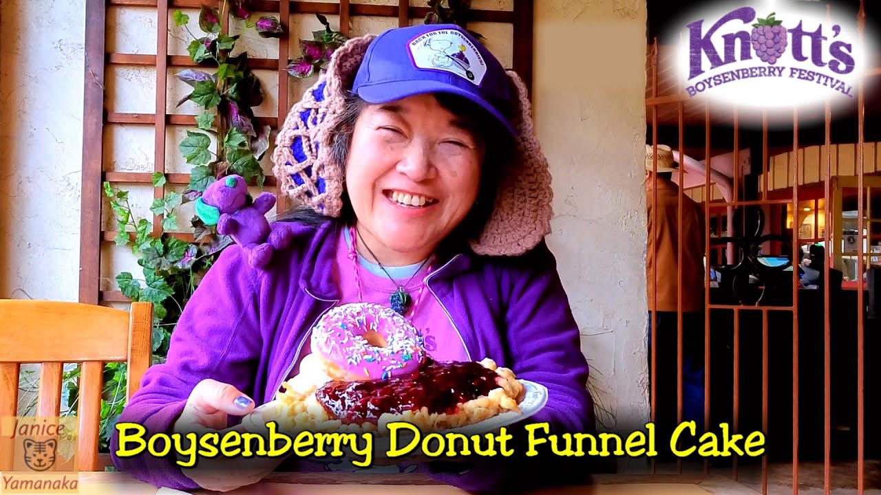 2023 Knott's Boysenberry Festival Boysenberry Donut Funnel Cake at Log