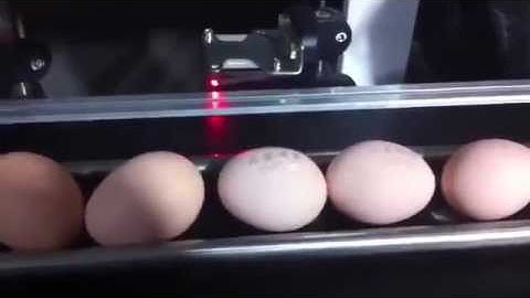 online marking eggs,fiber laser marking machine