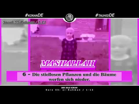welche-der-wohltaten-eures-herrn-wollt-ihr-leugnen?-||-der-edle-koran-||-sure-55:-ar-rahman-/-1-13