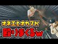 オネエとオカマが拳を振り回し大暴れした結果大爆笑wwwwwwww【PUBG】