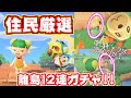 【あつ森】住民厳選!!!離島12連ガチャでまさかの結末wwww日向のゆるっと実況#10