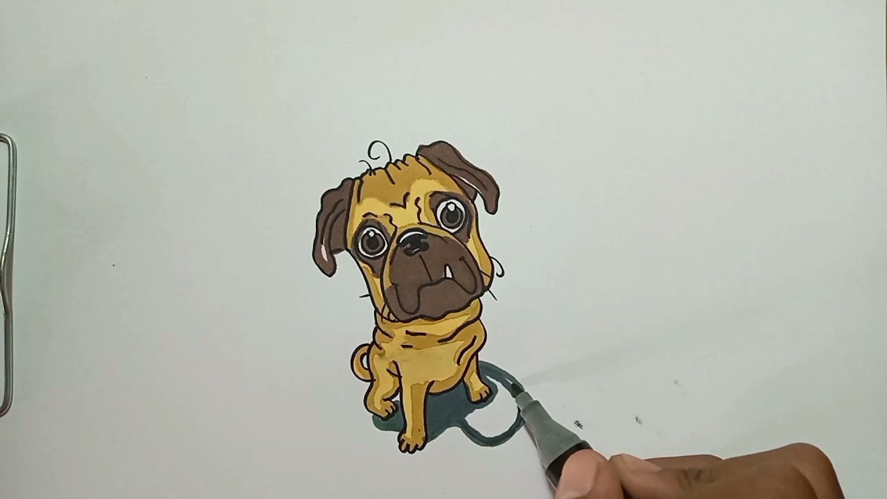 How to Draw Pug Dog Breed Step by Step