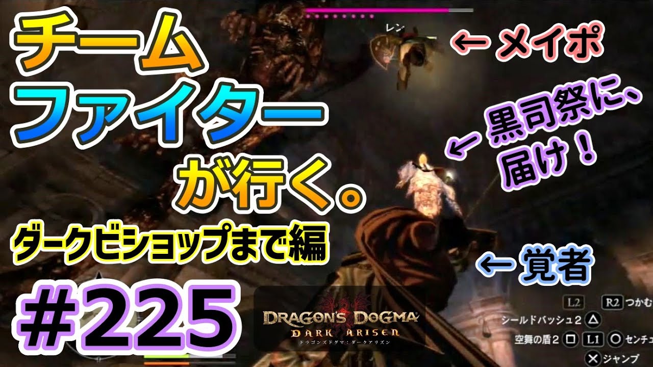 Dragon S Dogma Dark Arisen 225 Team Fighter To The Dark Bishop Youtube