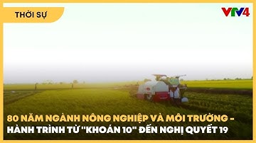 Hành trình từ "Khoán 10" đến Nghị quyết 19 | VTV4