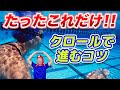 初心者のためのクロールの入門【手の回し方】
