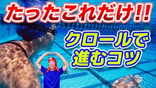 初心者のためのクロールの入門【手の回し方】