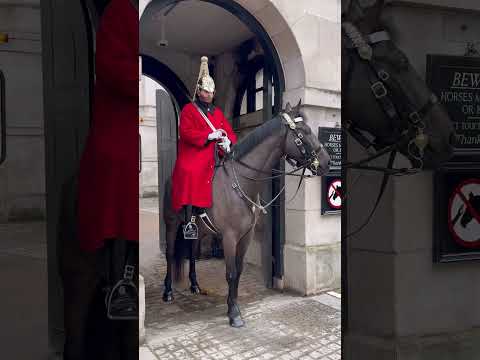 Magnificent!”❤️ #ShortsFeed