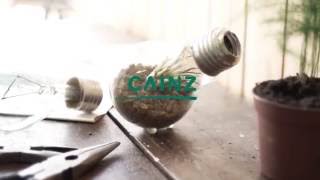 電球リメイク グリーンをプラス オリジナルテラリウム DIY【CAINZ DIY