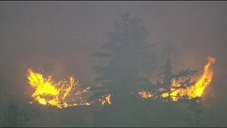Waldbrände in den USA: "Das ist, wie einen Elefanten zu essen"