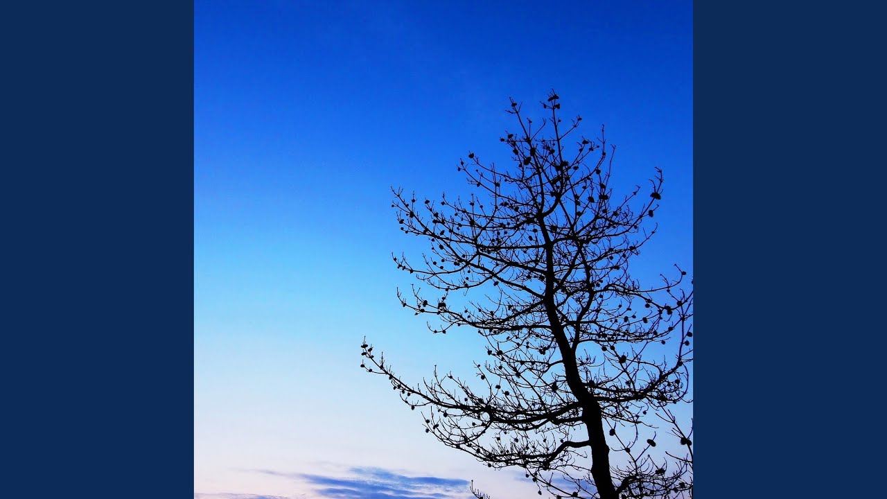 ウィークエンド YouTube