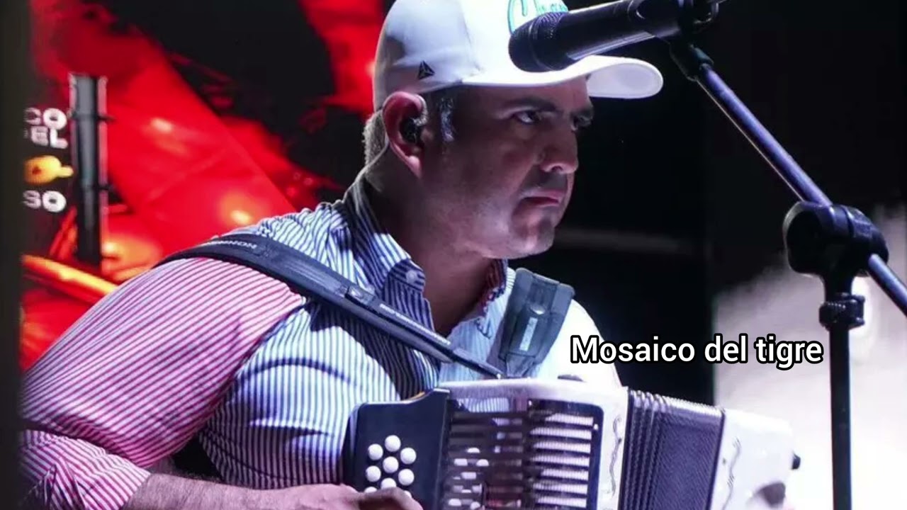 Mosaico del tigre y plumas negras ( en vivo) Jhonathan Chavez