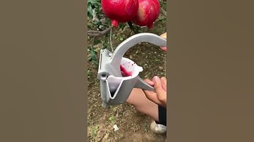 oddly satisfying video #shorts #viral #youtubeshorts #satisfyingvideo #satisfying #oddlysatisfying