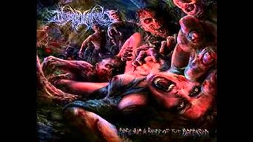 INFESTED ENTRAILS - Raped by a Zombie