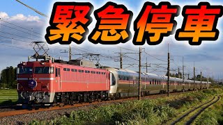 カシオペア紀行 緊急停止の瞬間 9011レ Ef81 81尾 E26系客車 蒲須坂片岡間 撮り鉄乱入で緊急停止