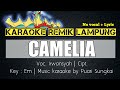 Karaoke remik lampung  camelia irwansyah  set org remik lampung terbaru 2021  no vocal  lyric