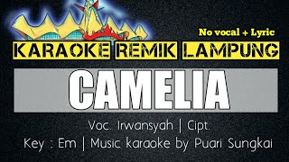 KARAOKE REMIK LAMPUNG - CAMELIA (IRWANSYAH) - SET ORG REMIK LAMPUNG TERBARU 2021 - NO VOCAL   LYRIC