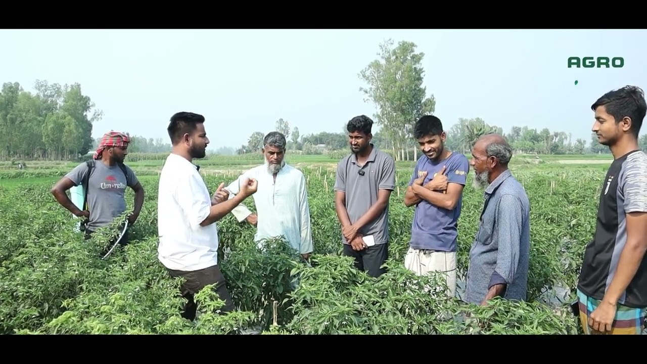নতুন কৃষকরা যেখানে ভুল করে !