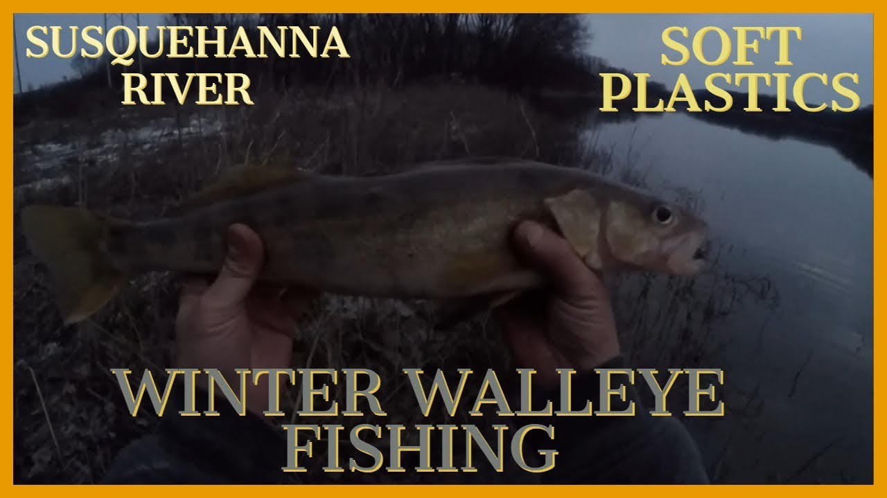 Winter Walleye Fishing from the Bank using Swimbaits- Susquehanna River