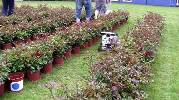 Field Robot Event 2012 - Rosebot testing task 3