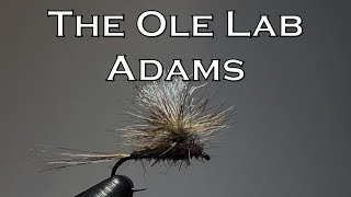 TOP SECRET FLY TYING MATERIAL!! The Ole Lab Adams Dry Fly || Fly Tying Tuesday's Ep. 16
