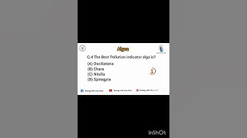 Algae mcqs Part 1 #biology  #biologymcqs #algae