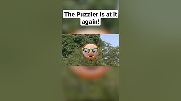 The Puzzler is at it again | Numberjacks #shorts