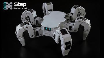 Step the Hexapod