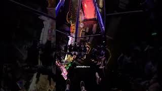 𝘈𝘥𝘳𝘦𝘯𝘢𝘭𝘪𝘯𝘦