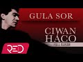 Ciwan haco  gula sor remastered official audio  full album