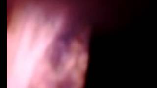 Texas urs.done in calif.wargin vs Escobar auto insurance scam grande but wcf801965 homes insurance f