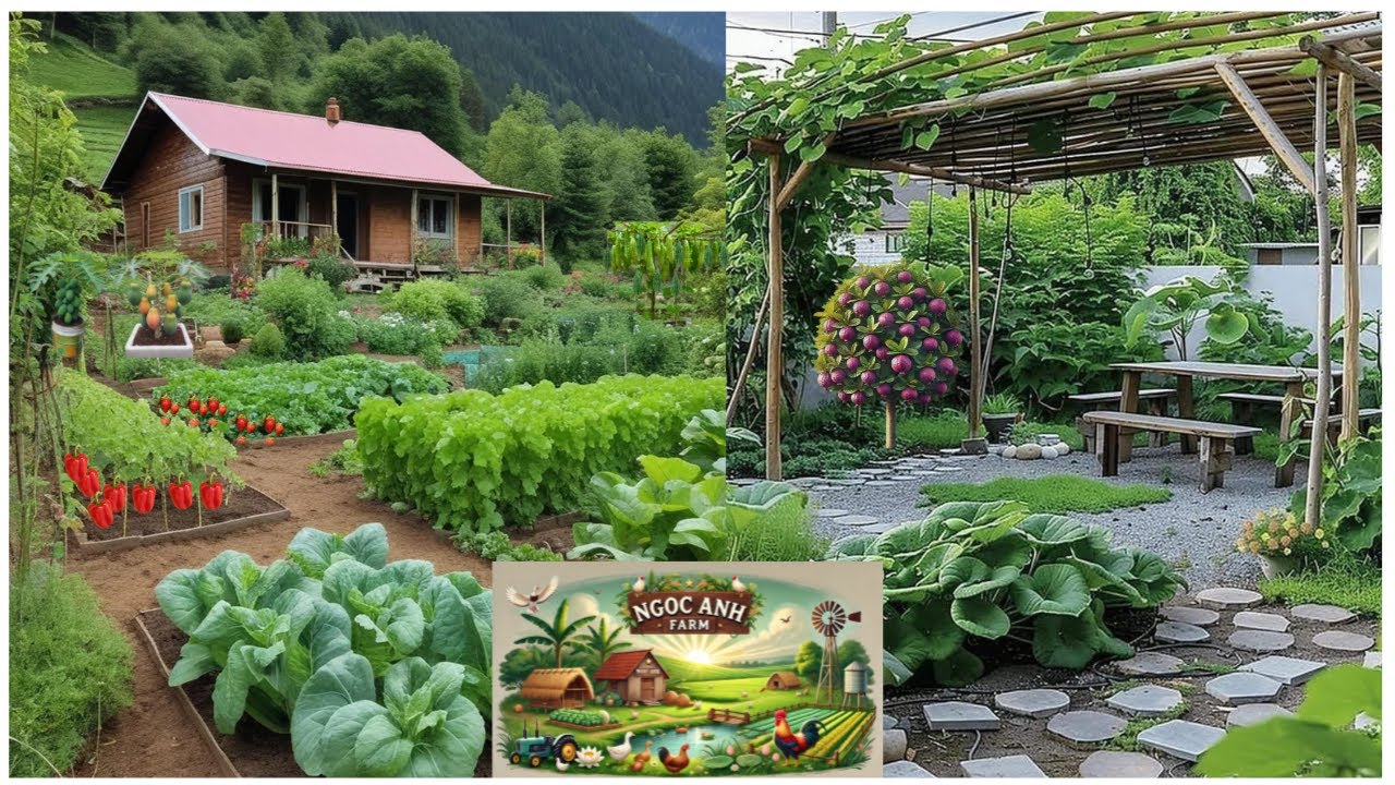 the first step in building my dream garden. Plant basil and green ...
