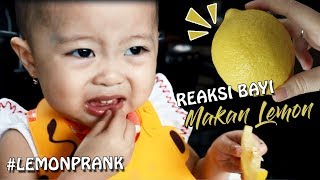 REAKSI BAYI MAKAN LEMON BIKIN NGAKAK - VIDEO LUCU