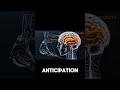 Dopamine isn't what you think it is