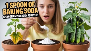 1 Spoon of Baking Soda Changed My Garden Forever!