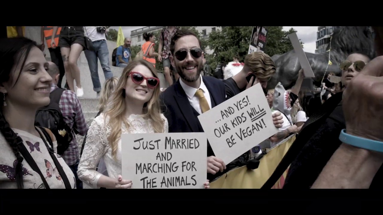 Animal Rebellion: Act Now!